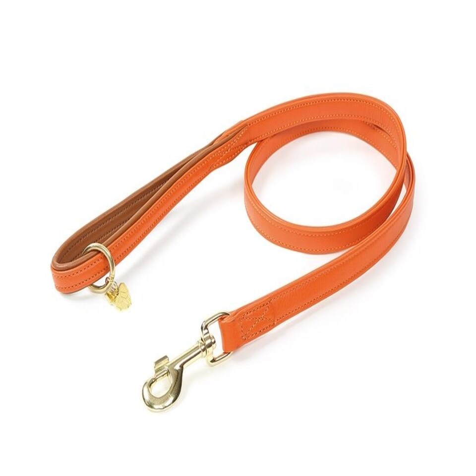 image 1 of Shires Digby & Fox Padded Leather Dog Lead Black | Size: 1.5Cm
Colour: Black