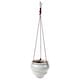 image 2 of Burgon & Ball Hanging Pot Baby Bombino Trio