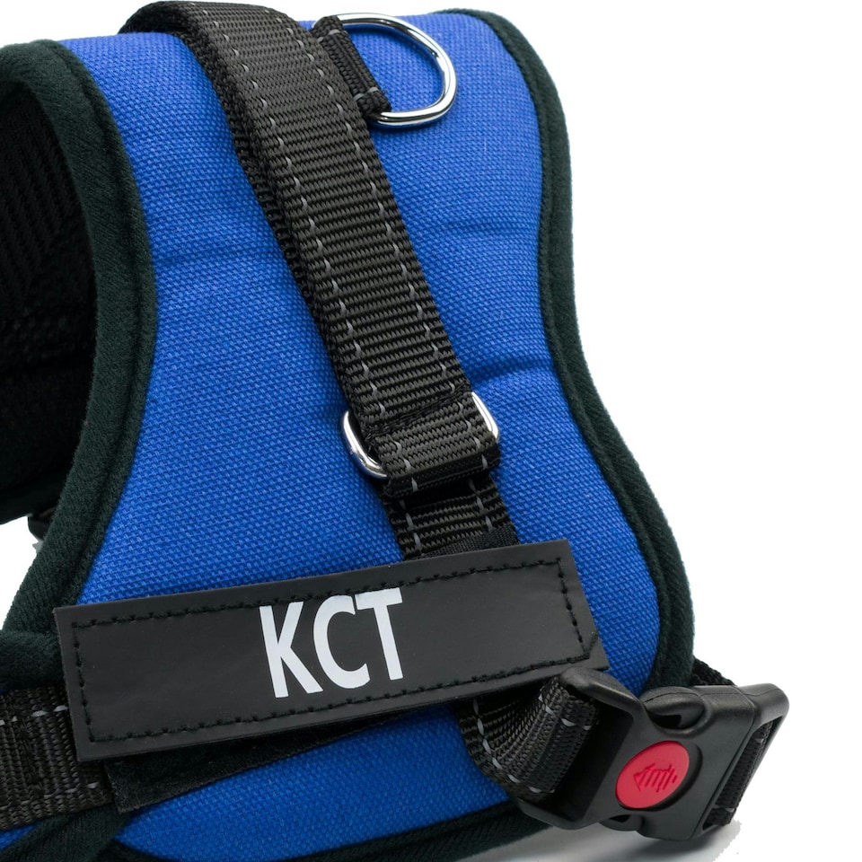 image 1 of KCT Large Blue Padded Dog Harness Blue | L