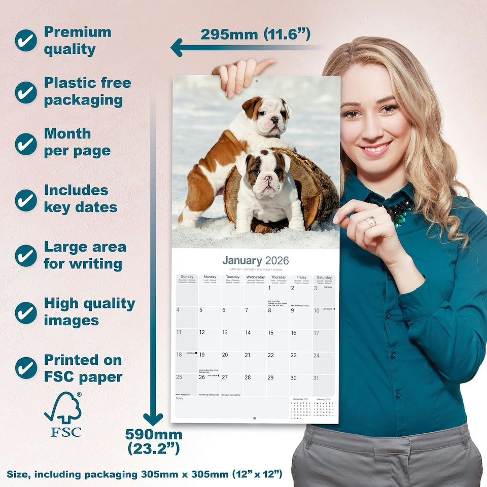 image 1 of Bulldog 2026 Calendar | Square Wall Calendar | Dog Breed Gift | Plastic Free Packaging | by Avonside Publishing