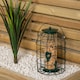 image 5 of Pack of 6 Wild Bird Seed Feeder Cage with Squirrel Guard