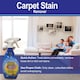 image 8 of 1001 Carpet and Pet Stain Remover Spray Set 500ml Gentle Deep-Cleaning for Rugs Upholstery and WoolSafe Floors
