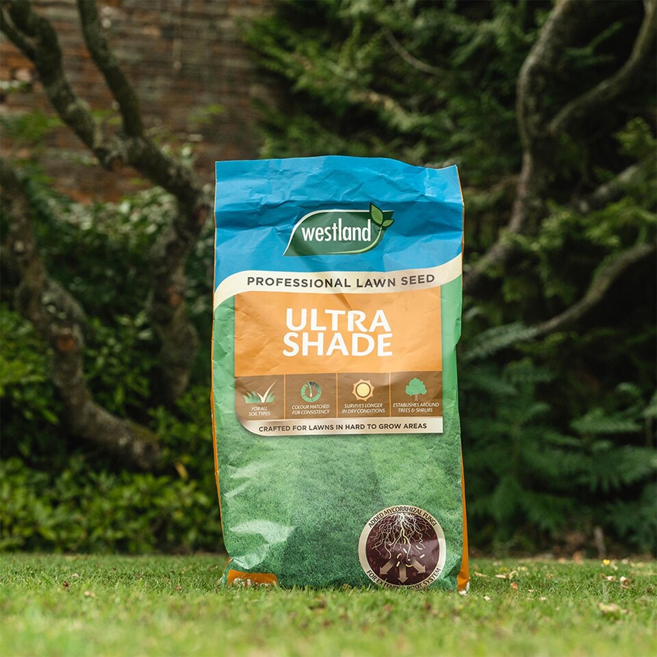 image 1 of Westland Ultra Shade Professional Lawn Seed for All Soil Types Covers 9kg