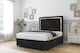 image 2 of Sloomy Boston Gold Black Naples Divan Bed With Mattress 2 Drawers Right Side With 26" Strutted Headboard & 12" Matching Footboard 4'6 Double | Black | Black | Double | 1