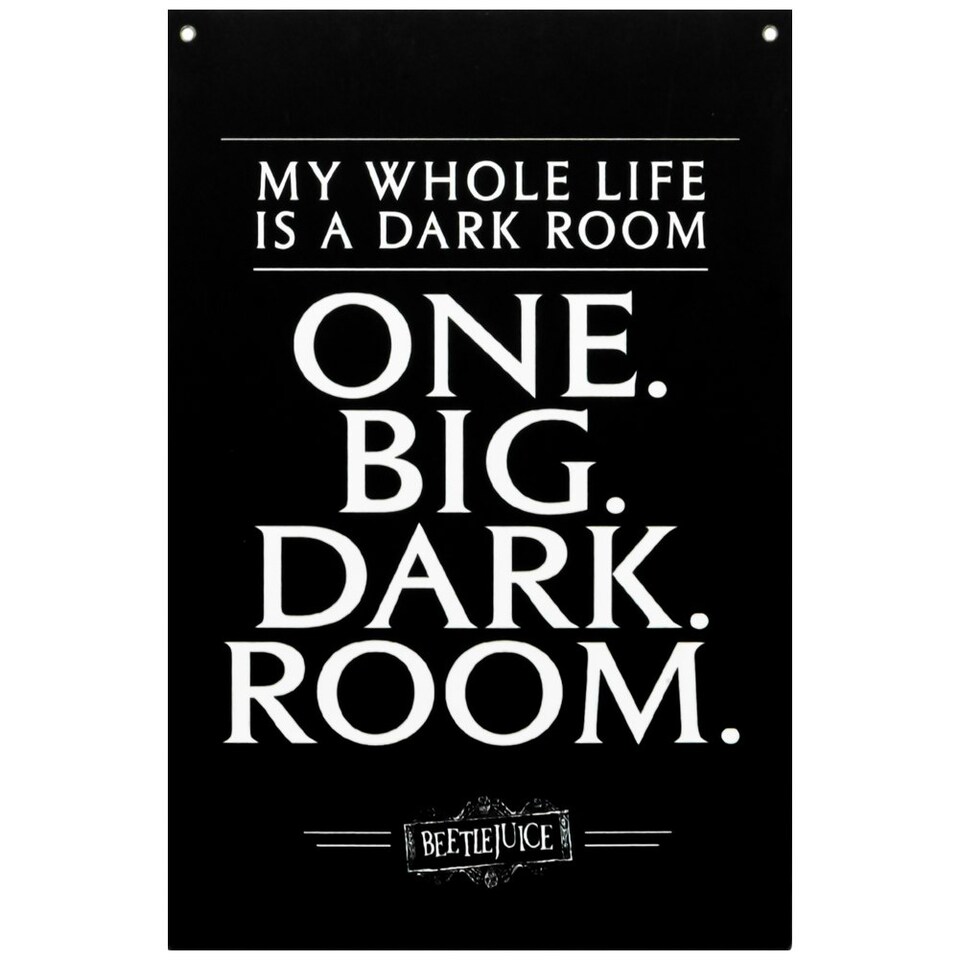 image 1 of Beetlejuice Fabric Wall Banner - Black/White - 125cm x 85cm