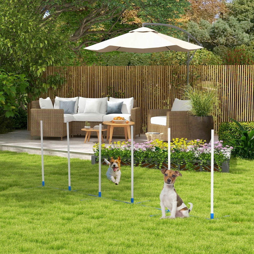 image 1 of PawHut Dog Weave Pole Set Agility Starter Kit Pet Outdoor Exercise Training Set