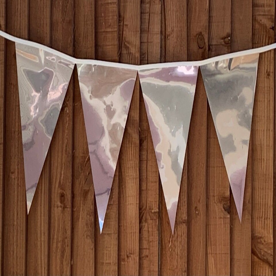 image 1 of Metallic Silver Party Bunting 10m with 20 Pennants