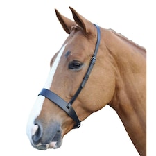 Blenheim Hunter Leather Horse Cavesson - Black - Cob