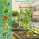 image 5 of COSTWAY 190 cm Tall Garden Trellis Vertical Plant Support