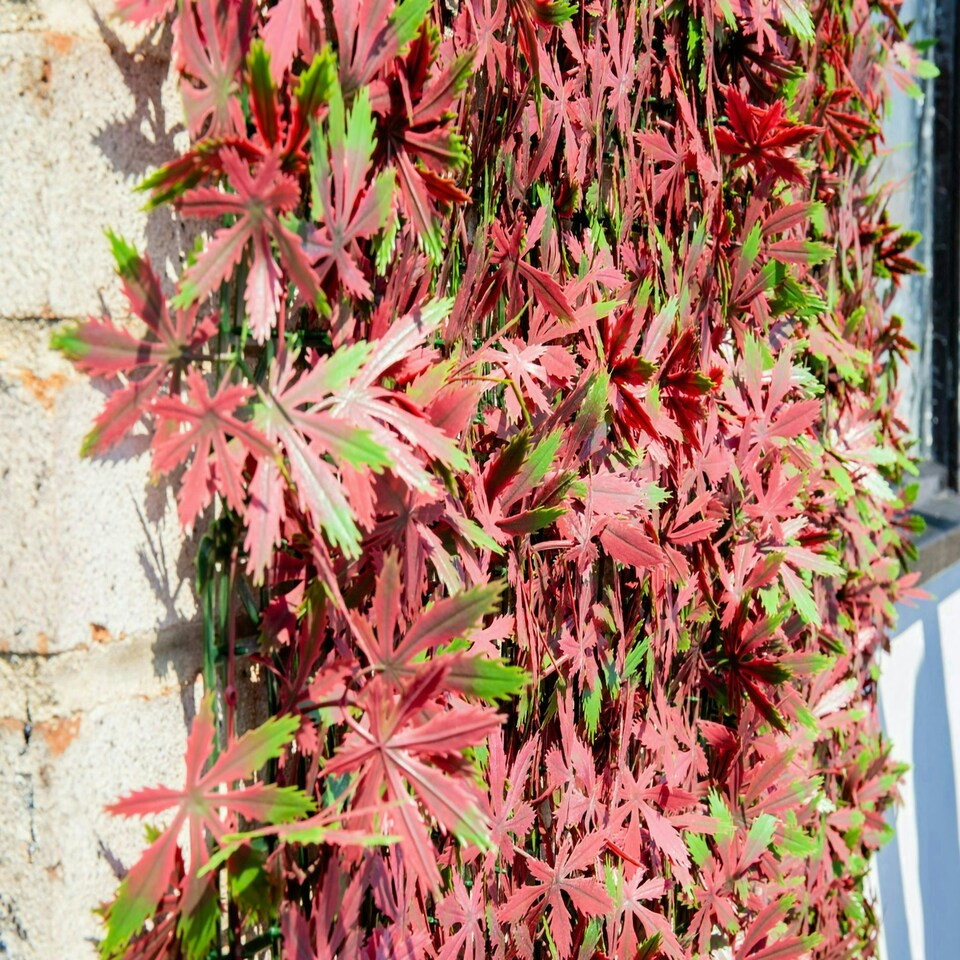 image 1 of Primrose Red Acer Artificial Hedge Garden Patio Panels 50cm x 50cm Set of 2