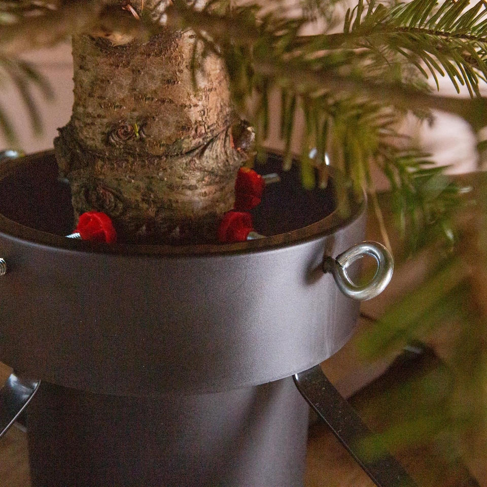 image 1 of Harbour Housewares Classic Real Christmas Tree Stand - 5.5in - Green/Red