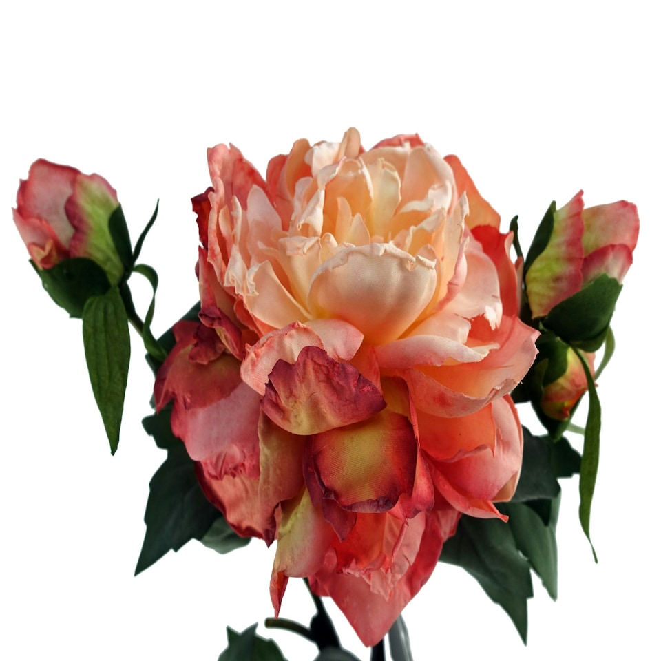 image 1 of 6 x Peony Artificial Flower Pink