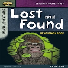 Rapid Stage 7 Assessment Book: Lost And Found