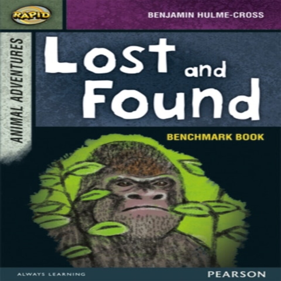 Rapid Stage 7 Assessment Book: Lost And Found