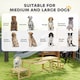 image 6 of PawHut Dog Agility Equipment 3 Pieces Wooden Dog Agility Set with Soft Bridge, Pause Platform and Pet Stair for Outdoor, Natural Wood