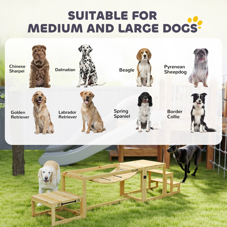 image 1 of PawHut Dog Agility Equipment 3 Pieces Wooden Dog Agility Set with Soft Bridge, Pause Platform and Pet Stair for Outdoor, Natural Wood