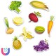 image 2 of Dodo Magnetic Vegetables 10 PIeces
