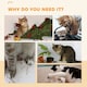 image 8 of PawHut Cat Treadmill with Brake, Scratching Pads for Indoor Cats, Grey