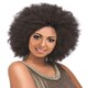 image 2 of Aftress Syn Afro Kinky Bulk 24" Multi | 280 | 24 inch