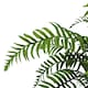 image 6 of 50cm Artificial Boston Fronded Fern Plant