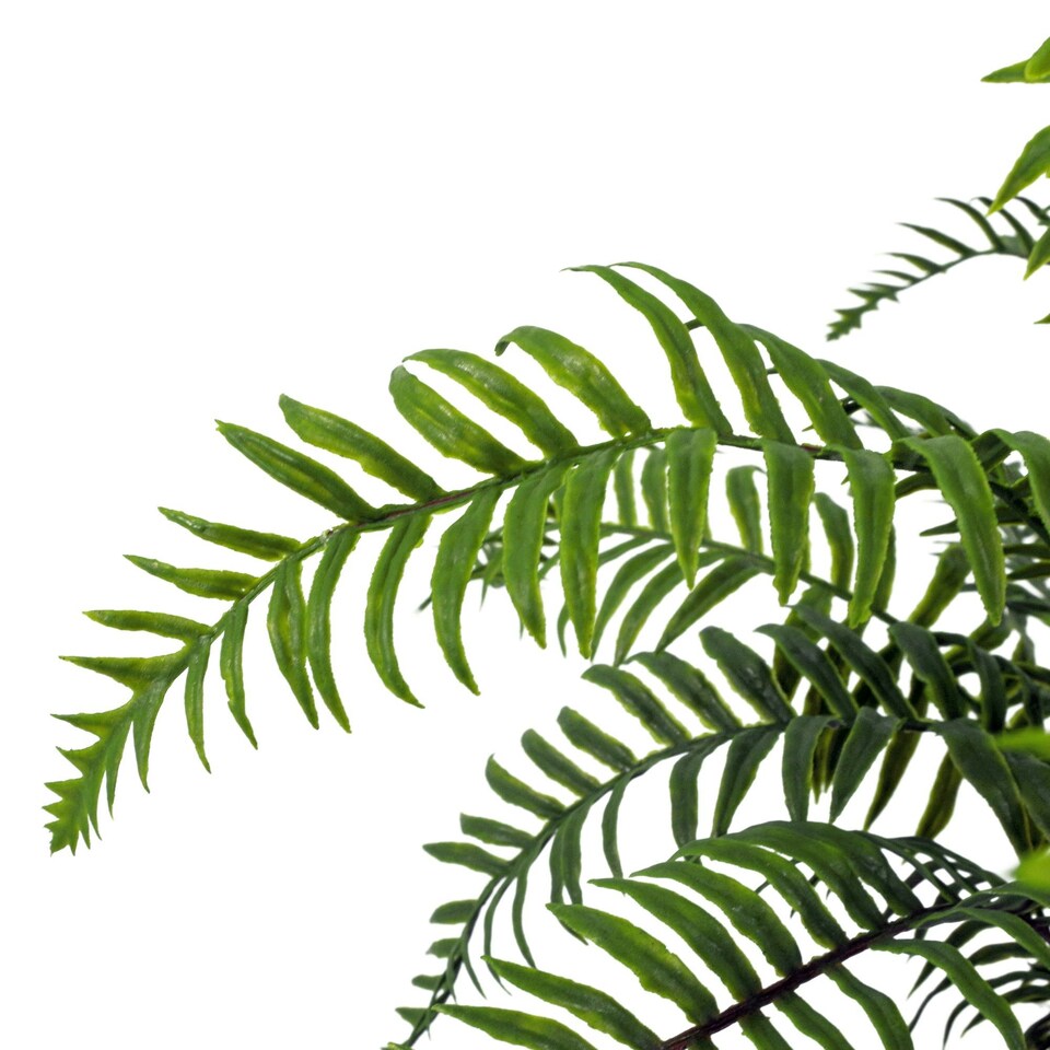 image 1 of 50cm Artificial Boston Fronded Fern Plant