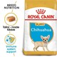 image 1 of Royal Canin Chihuahua Puppy Dry Dog Food - 1.5 kg | Multi | 1.5kg | Chicken, Rabbit | 1