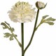 image 2 of Ranunculus Spray Artificial Flower (Single Stem) - Fabric/Plastic - L8 x W11 x H44 cm - Green