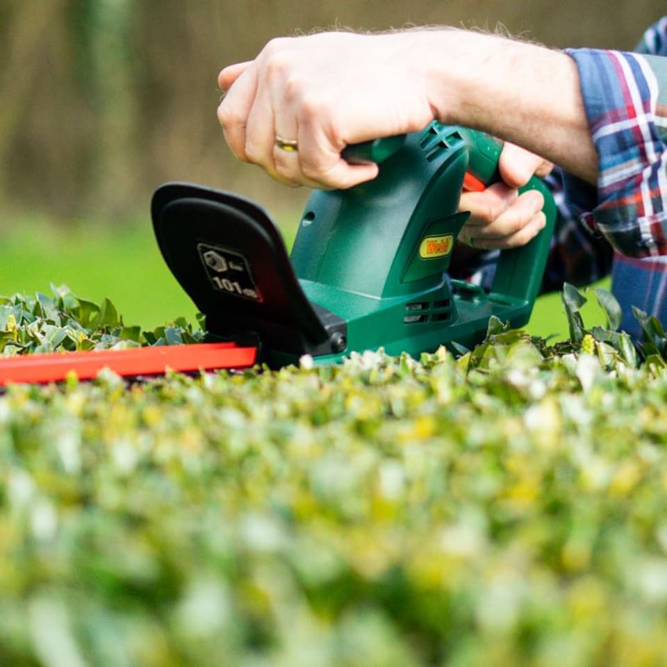 image 1 of Webb Classic 500W 50cm Electric Hedge Trimmer