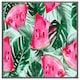 image 4 of Watermelon (Picture Frame) White | XL