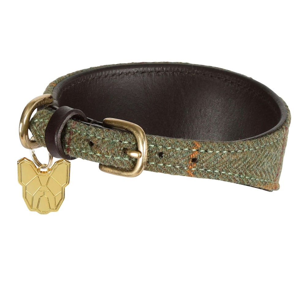 image 1 of Digby & Fox Checked Tweed Greyhound Dog Collar - Red/Yellow/Blue - L - Neckline: 35cm-39cm
