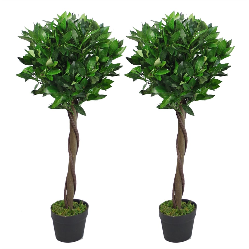 image 1 of Pair of 90cm (3ft) Twisted Stem Artificial Topiary Bay Laurel Ball Trees | Green | 3ft