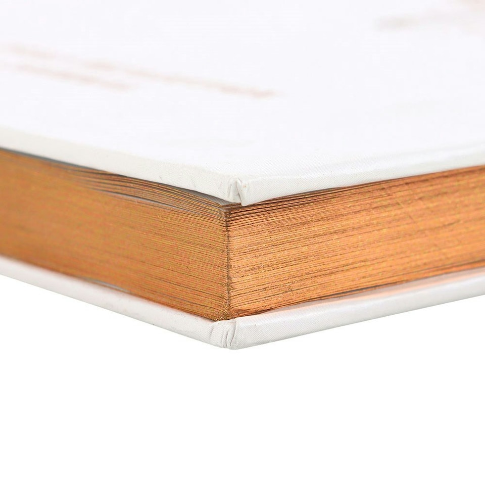 image 1 of Something Different Daily Reflection Luna Moth Journal - Pale Pink - One Size
