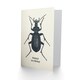 image 2 of Beetle Drawing Vintage Style Creepy Crawly Birthday Card