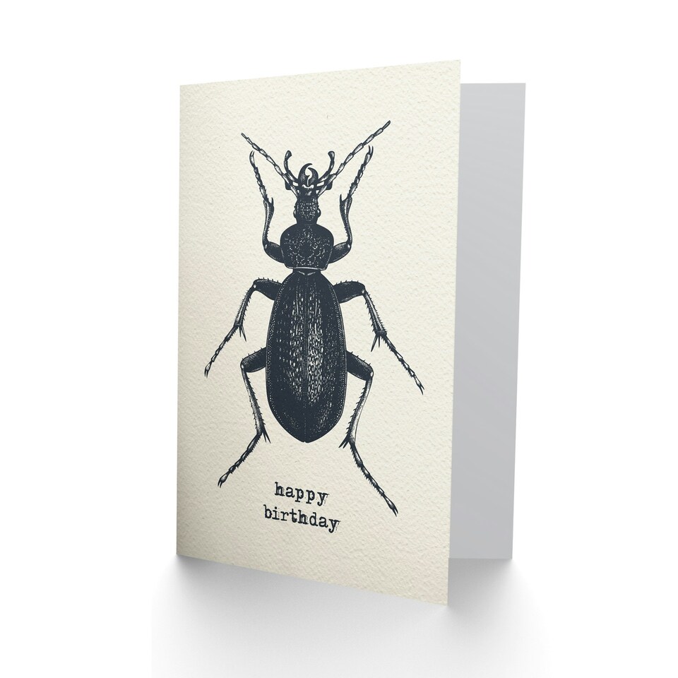image 1 of Beetle Drawing Vintage Style Creepy Crawly Birthday Card