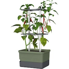 CHARLY CHILI Chili pot with water tank & climbing system - regular Dark Green | Green | Dark Green