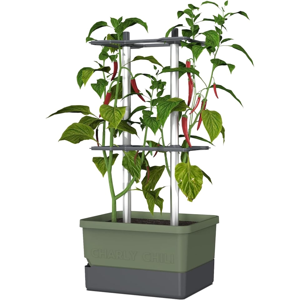 image 1 of CHARLY CHILI Chili pot with water tank & climbing system - regular Dark Green | Green | Dark Green