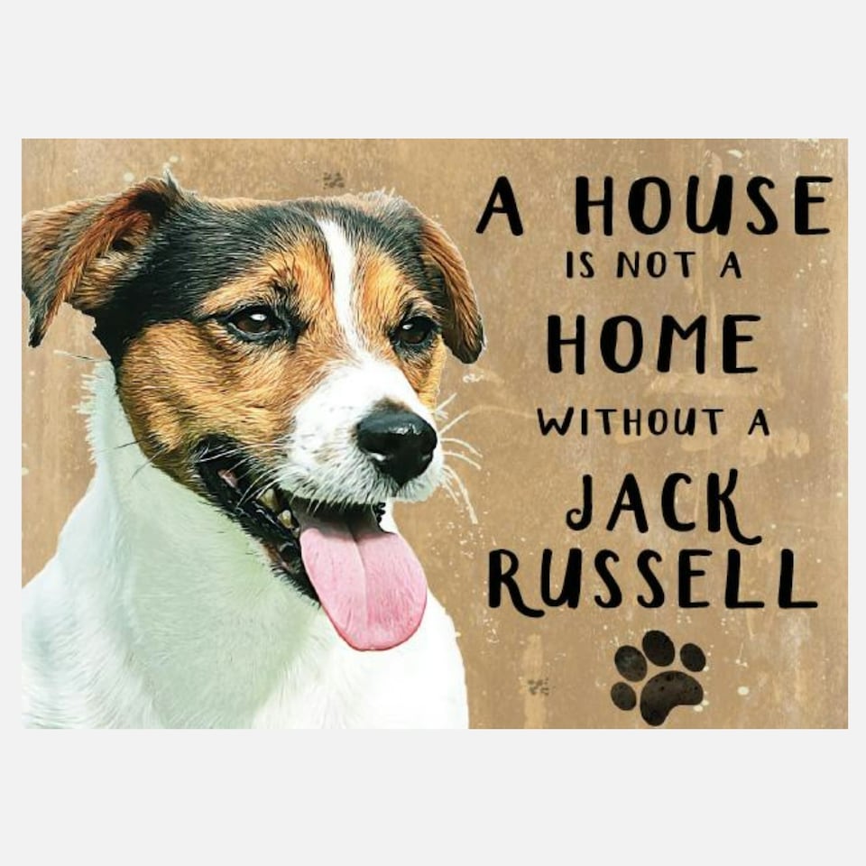 image 1 of A House Is Not A Home Without A Jack Russell Metal Dog Breed Hanging Sign