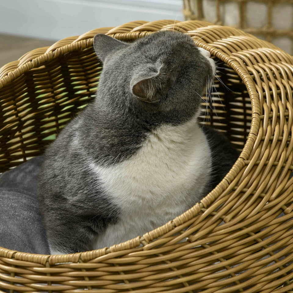 image 1 of PawHut Wicker Cat House with Washable Cushion for Indoor Cats, Light Brown