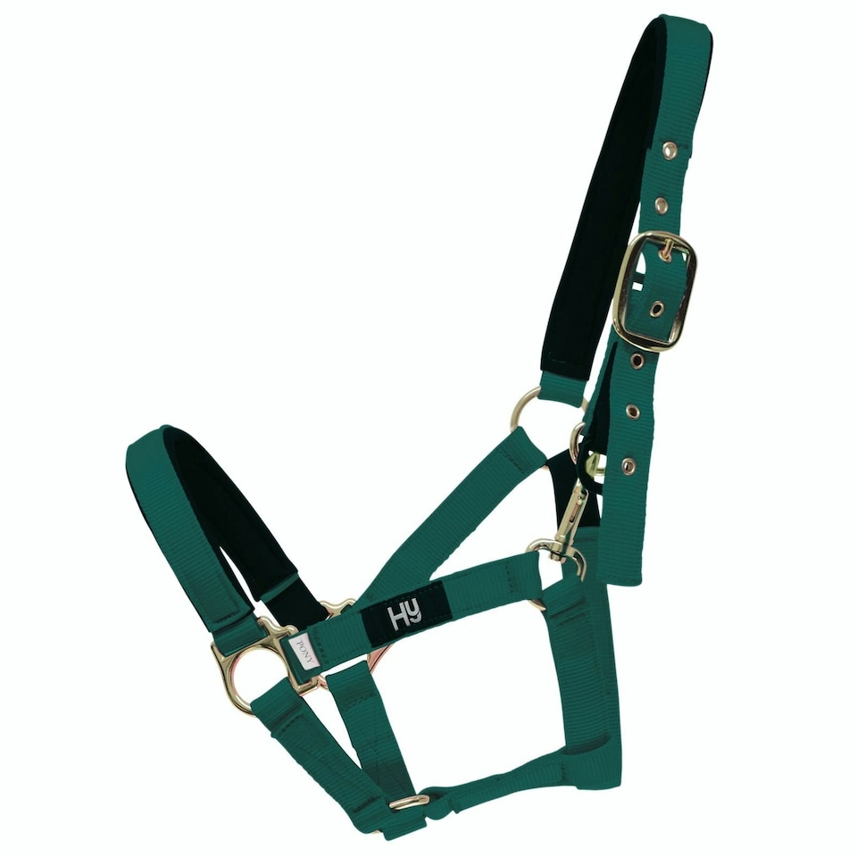 Hy Fieldsafe Head Collar - Green - Pony