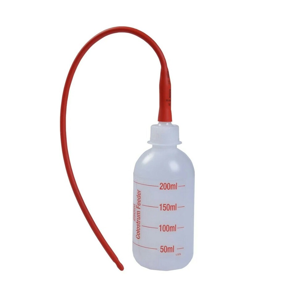Battles Lamb Reviver Bottle - White/Red - One Size