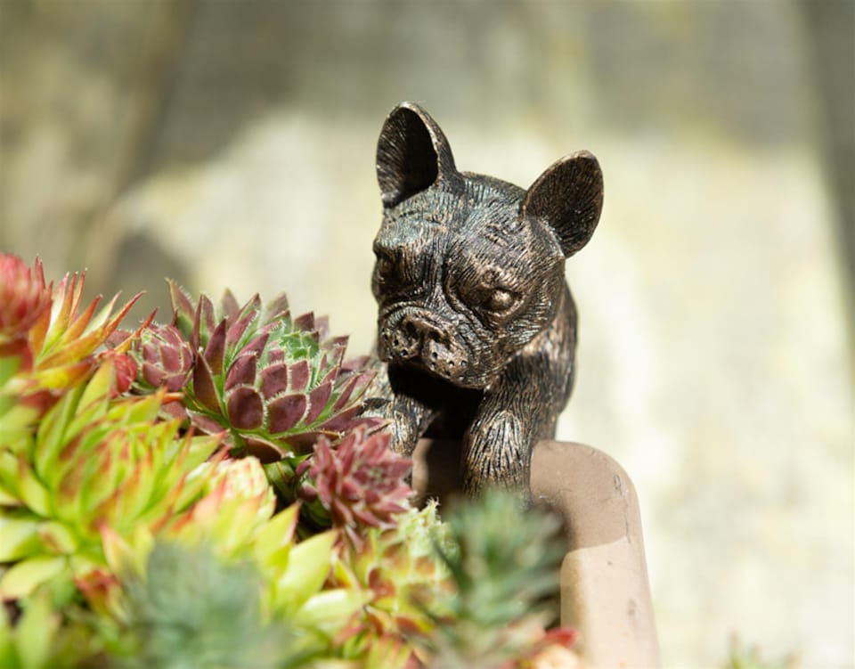 image 1 of French Bulldog Plant Pot Hanger | Bronze