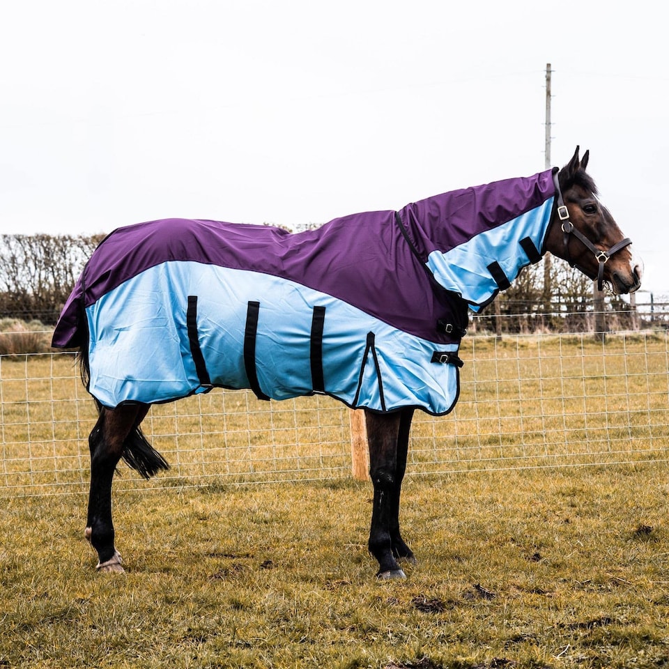 image 1 of eQuitack 600D 2 in 1 Waterproof Fly Turnout Mesh Horse Rug Fixed Neck Burgundy/Blue 6'9''