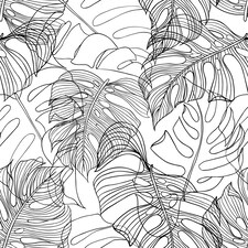 Monstera Leaf Wallpaper in Monochrome | White | Monochrome
