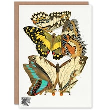 Eugene Seguy Art Card Papillons Butterflies Illustration