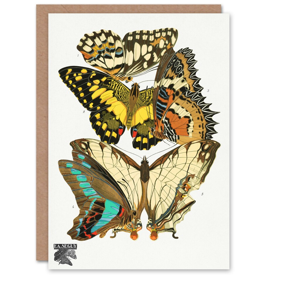 image 1 of Eugene Seguy Art Card Papillons Butterflies Illustration