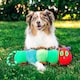 image 3 of Eric Carle™ The Very Hungry Caterpillar Rope Toy Large | Green