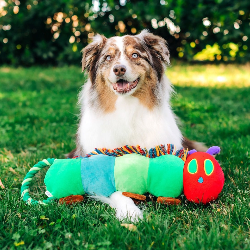 image 1 of Eric Carle™ The Very Hungry Caterpillar Rope Toy Large | Green