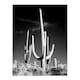 image 3 of Carol M Highsmith Saguaro Cactus Black White Photograph Framed Wall Art Print A3