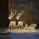 image 3 of Neo 120 Indoor Outdoor LED Light Up Reindeer and Sleigh Christmas Decoration Festive Display with Dual Light Effects Timer Red Scarves Weatherproof Frame 5m Lead Wire