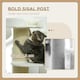 image 5 of PawHut 91cm Scratching Posts Cat Tree Activity Centre for Indoor Cats Cream